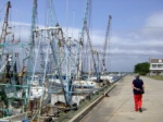 Shrimp boats